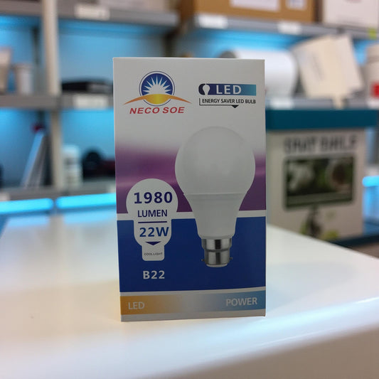 Energy Saver LED Bulbs 22W - Cool Light